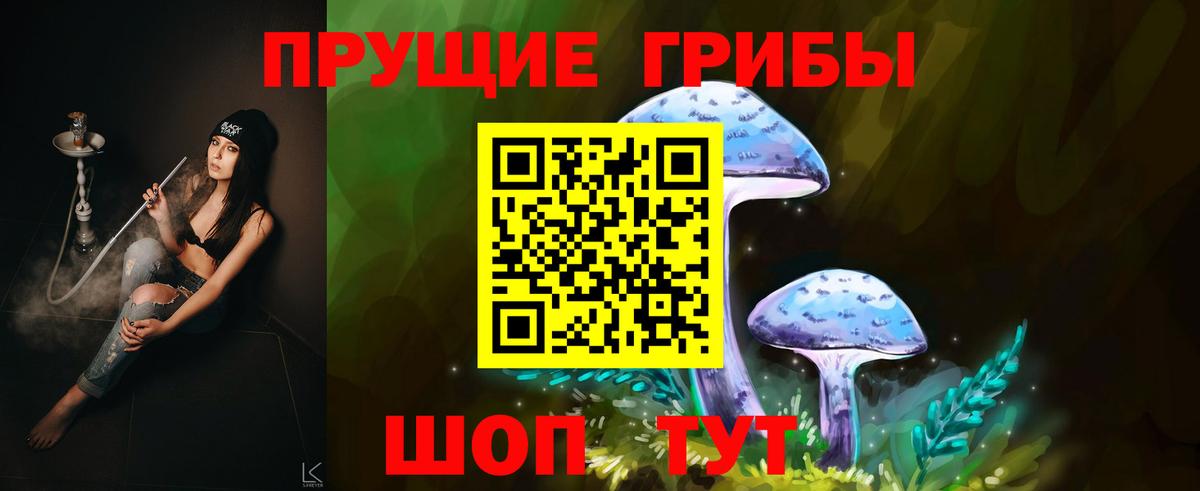 где продают   Галлюциногенные грибы мицелий  Вход с VPN  Коммунар 